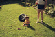 Mathew_baby_f-1.jpg